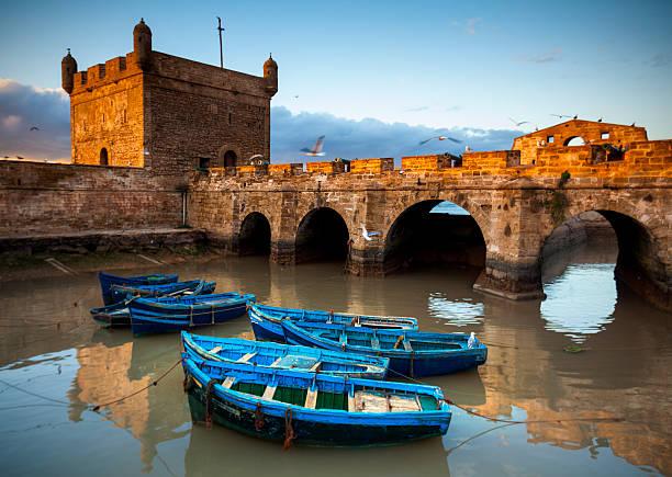 Excursion en calèche et visite de la Galerie d'Art Damgaard Essaouira